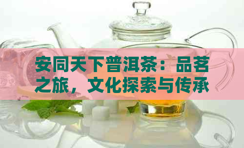 安同天下普洱茶：品茗之旅，文化探索与传承