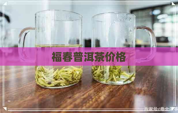 福春普洱茶价格