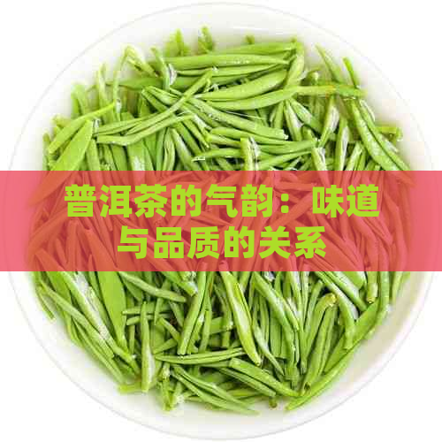 普洱茶的气韵：味道与品质的关系