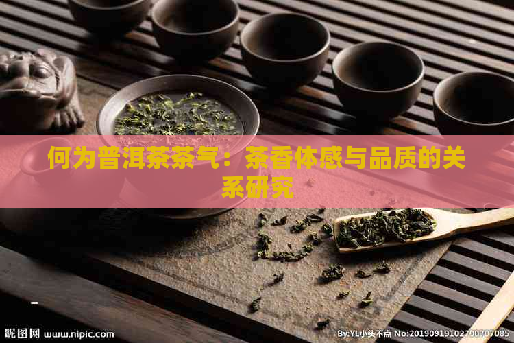 何为普洱茶茶气：茶香体感与品质的关系研究