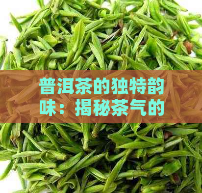 普洱茶的独特韵味：揭秘茶气的秘密