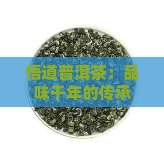 悟道普洱茶：品味千年的传承与创新官网