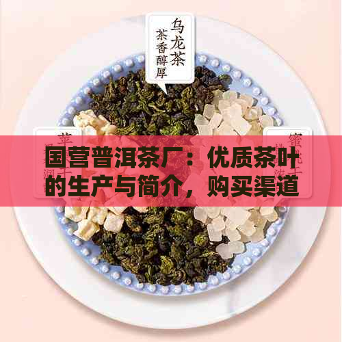 国营普洱茶厂：优质茶叶的生产与简介，购买渠道及品鉴方法指南