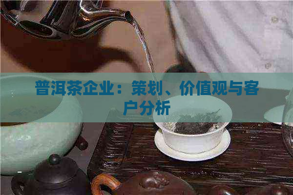 普洱茶企业：策划、价值观与客户分析