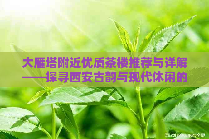 大雁塔附近优质茶楼推荐与详解——探寻西安古韵与现代休闲的完美融合