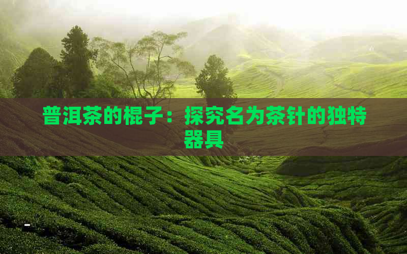 普洱茶的棍子：探究名为茶针的独特器具