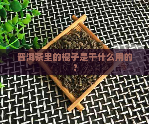 普洱茶里的棍子是干什么用的？