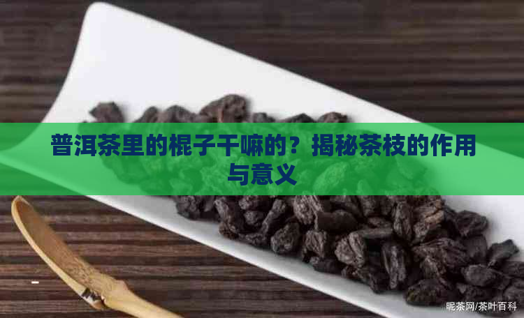 普洱茶里的棍子干嘛的？揭秘茶枝的作用与意义