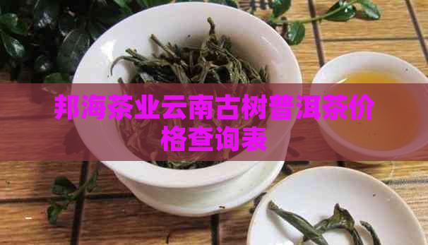 邦海茶业云南古树普洱茶价格查询表