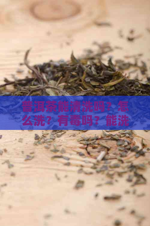 普洱茶能清洗吗？怎么洗？有吗？能洗掉吗？可以洗澡吗？