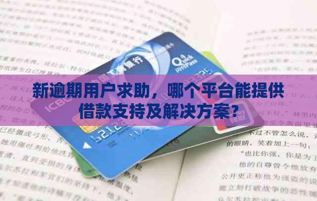 新逾期用户求助，哪个平台能提供借款支持及解决方案？