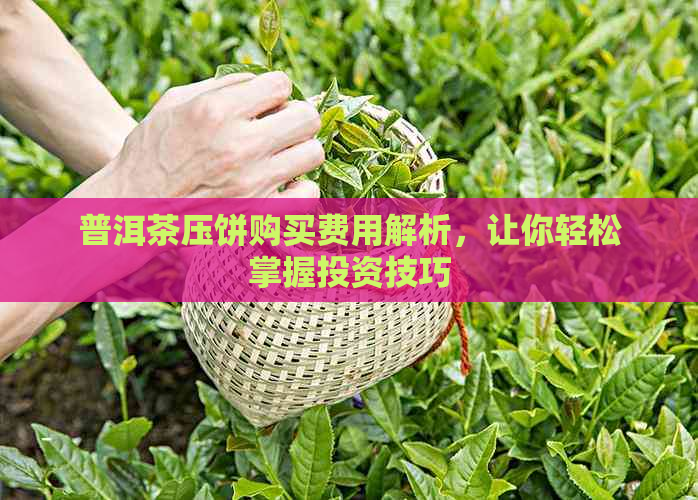 普洱茶压饼购买费用解析，让你轻松掌握投资技巧