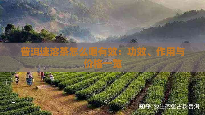 普洱速溶茶怎么喝有效：功效、作用与价格一览