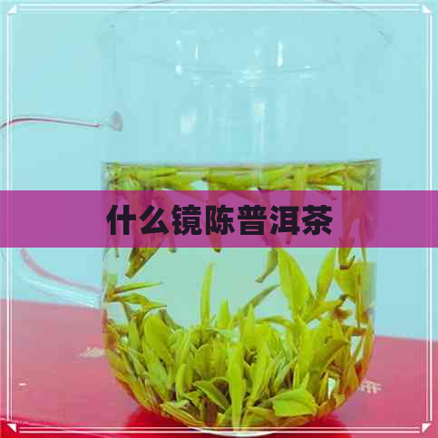 什么镜陈普洱茶