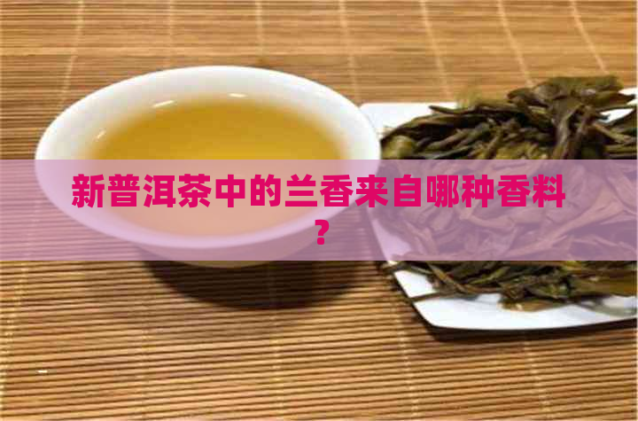 新普洱茶中的兰香来自哪种香料？