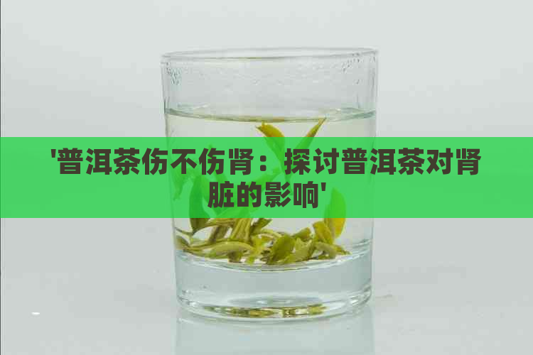 '普洱茶伤不伤肾：探讨普洱茶对肾脏的影响'