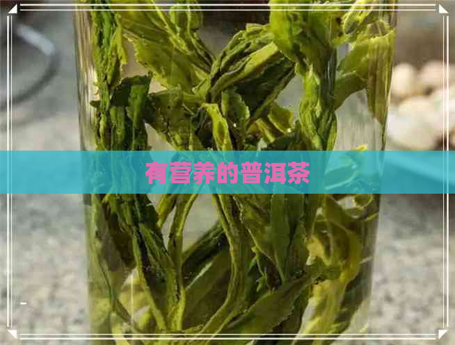 有营养的普洱茶