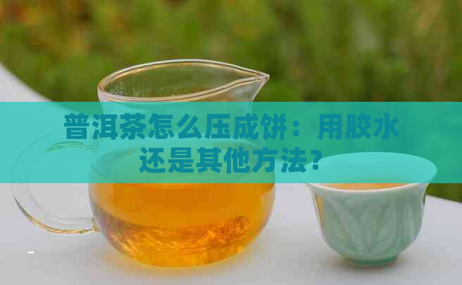 普洱茶怎么压成饼：用胶水还是其他方法？