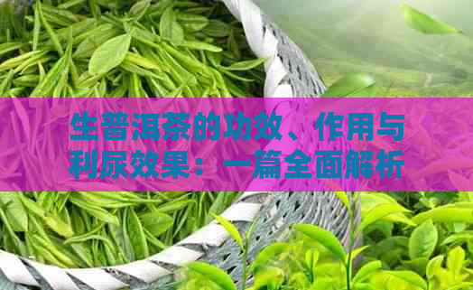 生普洱茶的功效、作用与利尿效果：一篇全面解析