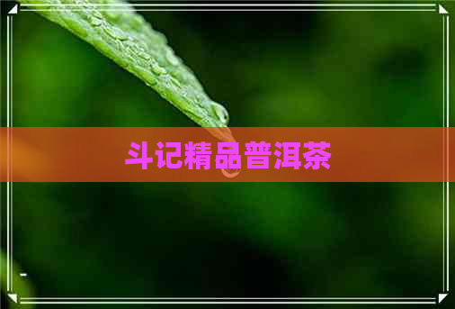 斗记精品普洱茶