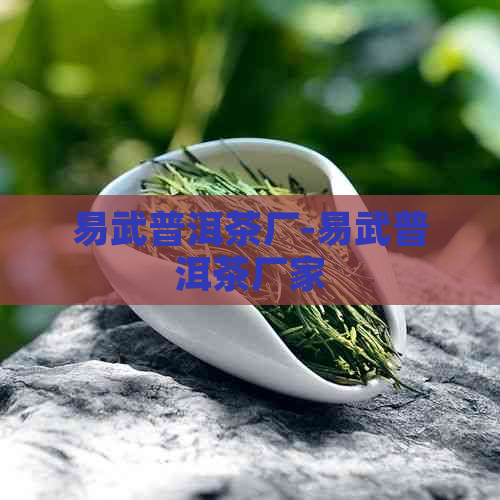 易武普洱茶厂-易武普洱茶厂家