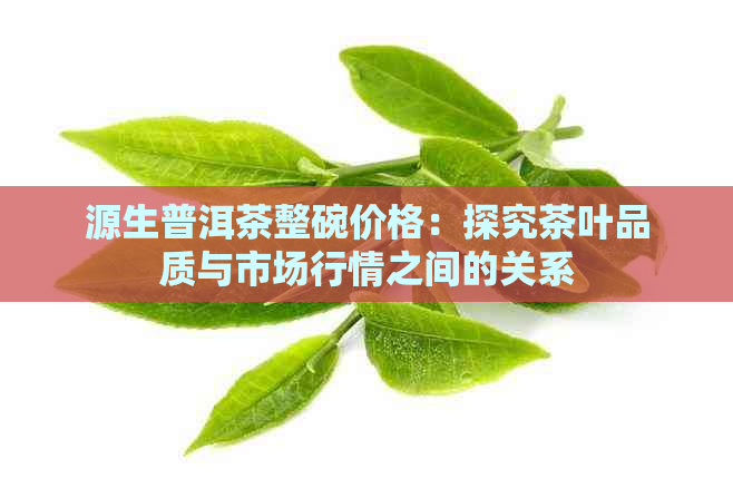 源生普洱茶整碗价格：探究茶叶品质与市场行情之间的关系