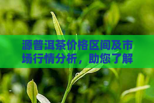 源普洱茶价格区间及市场行情分析，助您了解每斤茶叶的实际价值