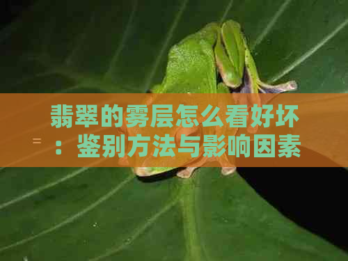 翡翠的雾层怎么看好坏：鉴别方法与影响因素