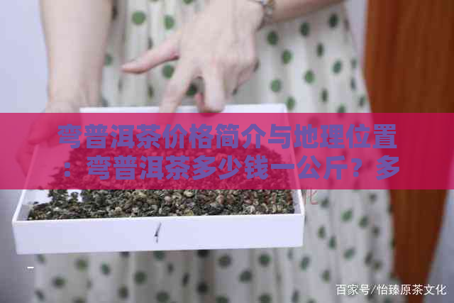 弯普洱茶价格简介与地理位置：弯普洱茶多少钱一公斤？多少钱一斤？