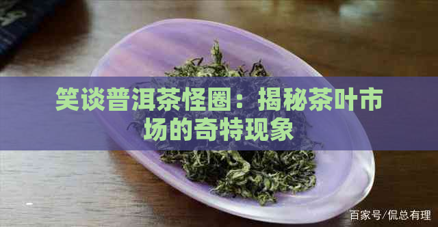 笑谈普洱茶怪圈：揭秘茶叶市场的奇特现象