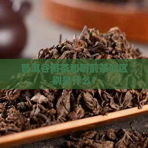 普洱谷雨茶和明前茶的区别是什么？