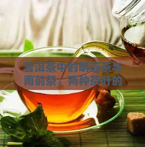 普洱茶中的明前茶与雨前茶：两种茶叶的区别与特点