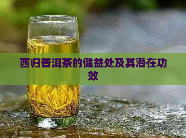 西归普洱茶的健益处及其潜在功效