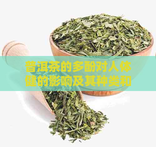 普洱茶的多酚对人体健的影响及其种类和含量详解