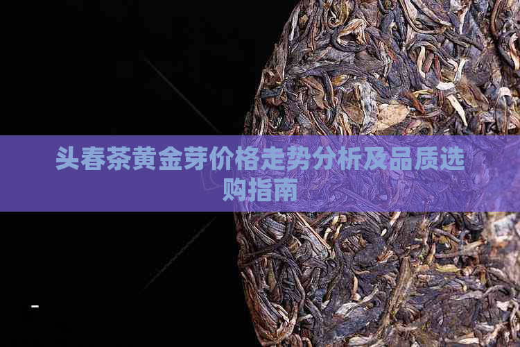 头春茶黄金芽价格走势分析及品质选购指南