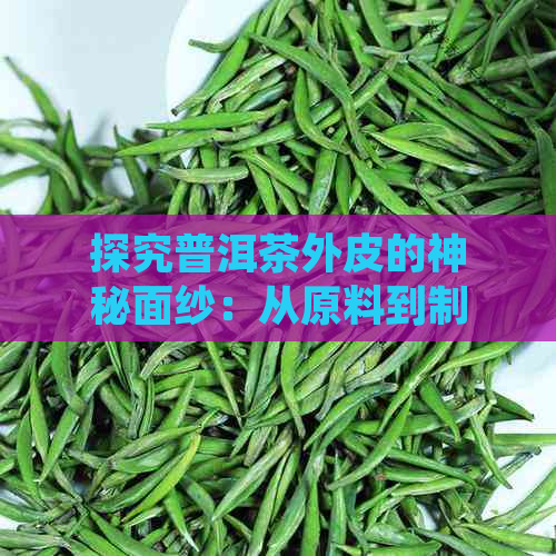 探究普洱茶外皮的神秘面纱：从原料到制作工艺的全方位解析