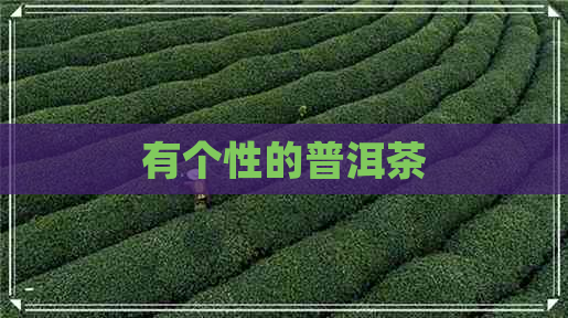 有个性的普洱茶