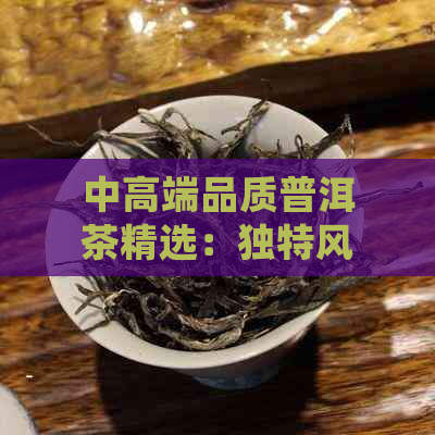 中高端品质普洱茶精选：独特风味、醇厚口感，让你尽享茶道人生