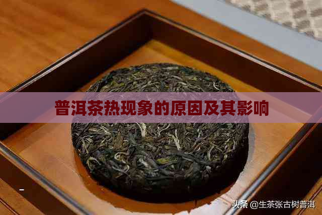 普洱茶热现象的原因及其影响