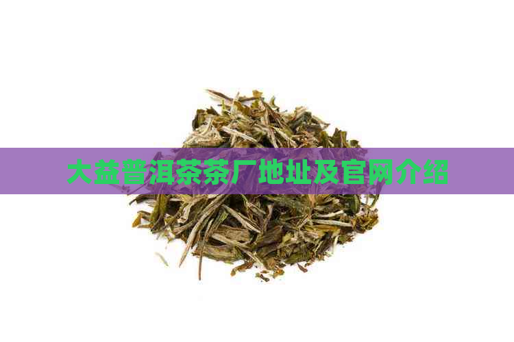 大益普洱茶茶厂地址及官网介绍