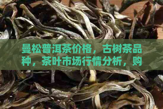 曼松普洱茶价格，古树茶品种，茶叶市场行情分析，购买建议与品质鉴别