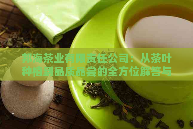 邦海茶业有限责任公司：从茶叶种植到品质品尝的全方位解答与体验