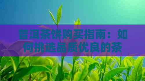 普洱茶饼购买指南：如何挑选品质优良的茶农直销茶叶？