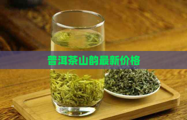 普洱茶山韵最新价格