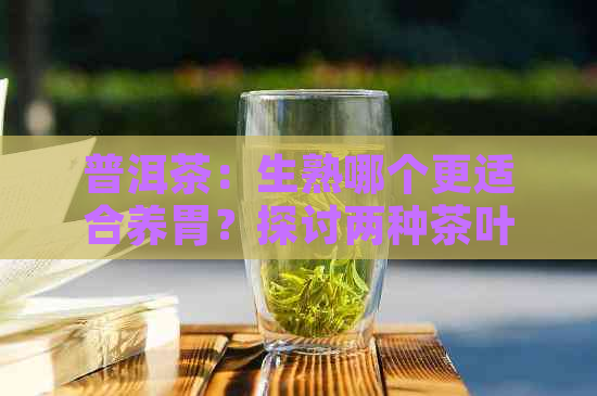 普洱茶：生熟哪个更适合养胃？探讨两种茶叶的差异及其对胃的影响