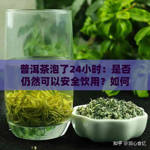 普洱茶泡了24小时：是否仍然可以安全饮用？如何判断与处理？