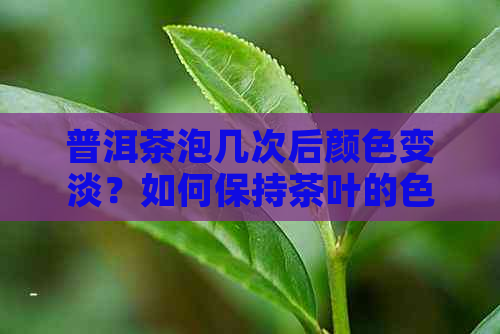 普洱茶泡几次后颜色变淡？如何保持茶叶的色泽和口感？