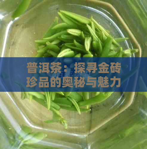 普洱茶：探寻金砖珍品的奥秘与魅力，你不可不知的独特品种