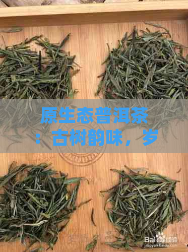 原生态普洱茶：古树韵味，岁月沉淀的醇香之美