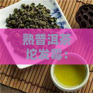 熟普洱茶坨发霉：如何判断是否可饮用？如何处理已发霉的茶叶？